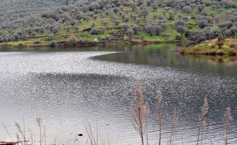 Ödemiş'te barajların su seviyesi arttı