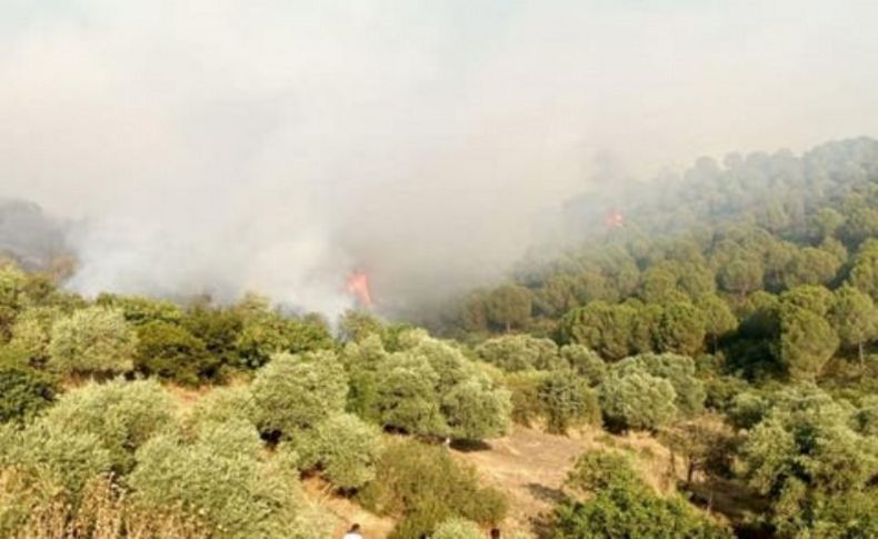 Ödemiş'teki orman yangını kontrol altına alındı
