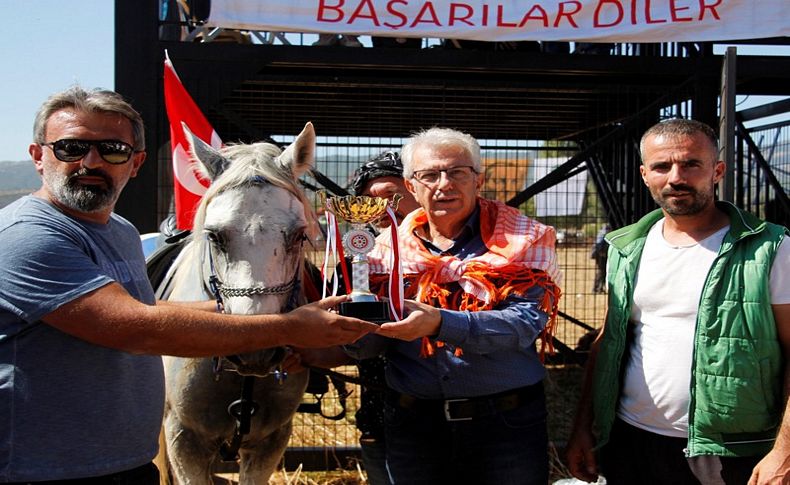 Ödemiş’te rahvan at yarışı heyecanı