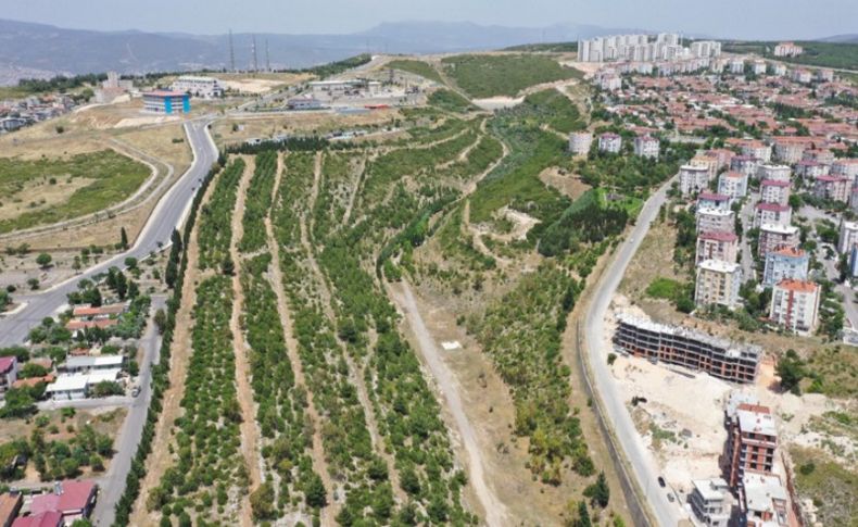 Ödüllü proje Portakal Vadisi’nde çalışmalar başladı