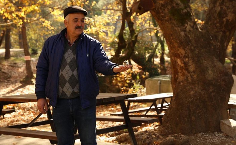 Orman bekçisi ile minik serçenin dostluğu