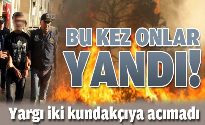 Orman yakanların cezası onandı