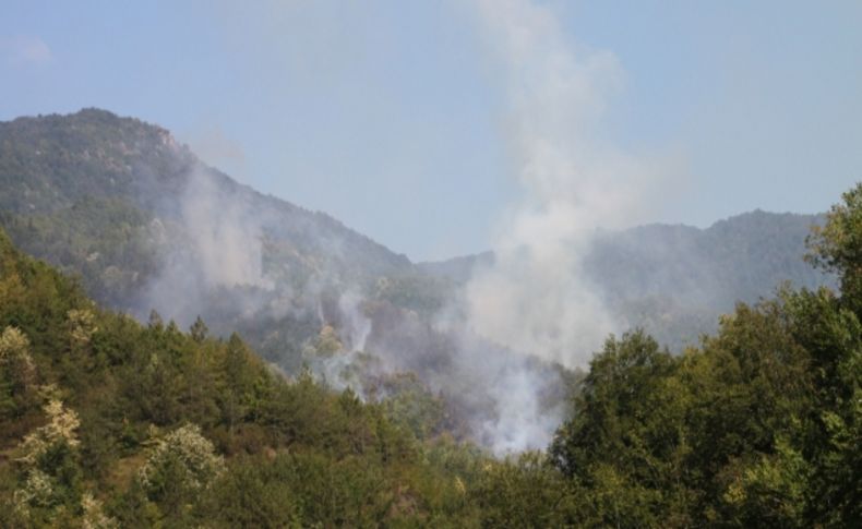 Ormanlı'da çıkan yangın devam ediyor