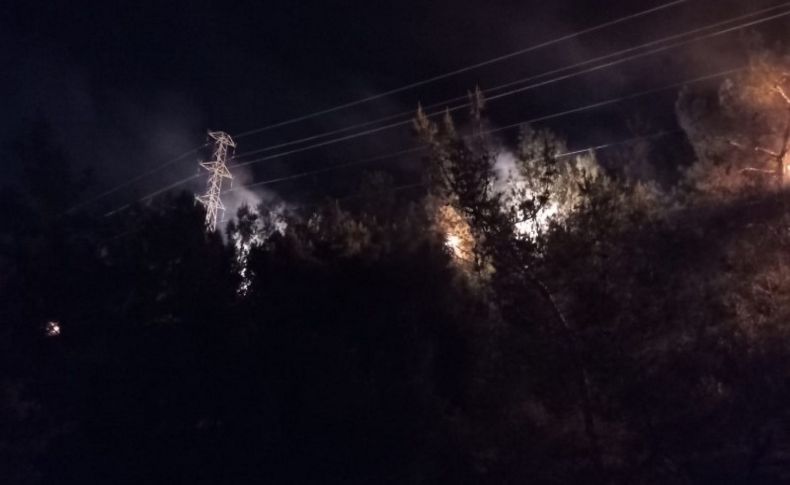 Ormanlık alanda korkutan yangın!