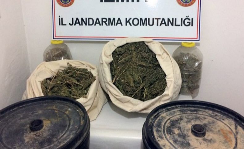 Zehir tacirlerine aman yok