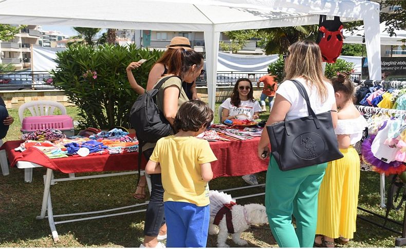 Pati Dostları Festivali'nde renkli görüntüler