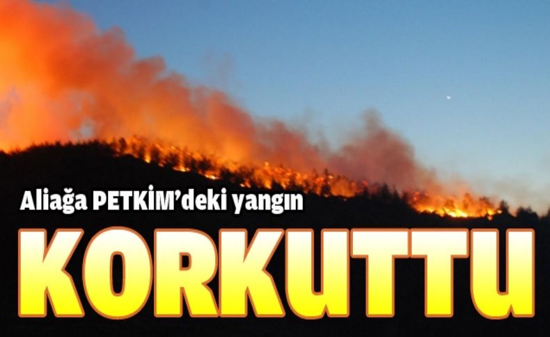 PETKİM güvenli sahası içinde orman yangını