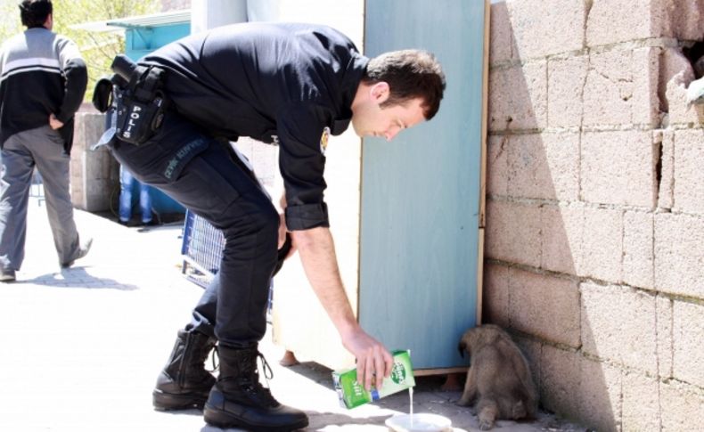 Polis ve esnaf yaralı köpeğe yardım için koştu