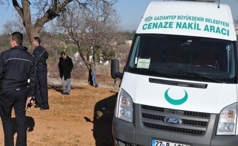 Poşuyla Kendini Ağaca Asti