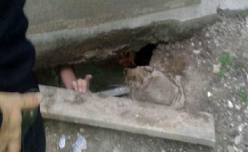 Polis zombi sandı, biber gazı sıktı!