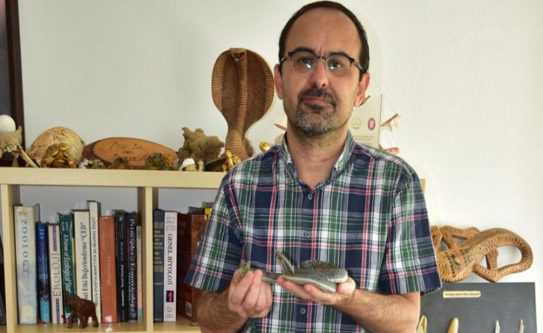 Prof. Dr. Ayaz: Yılanların deprem habercisi olduğuna dair bilimsel veri yok