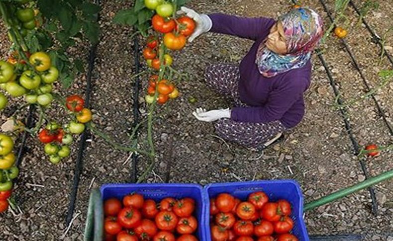 Rekabet Kurulu uyardı: En ağır cezayı vereceğiz