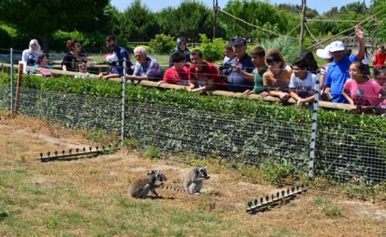 Doğal Yaşam 'Bayram' etti