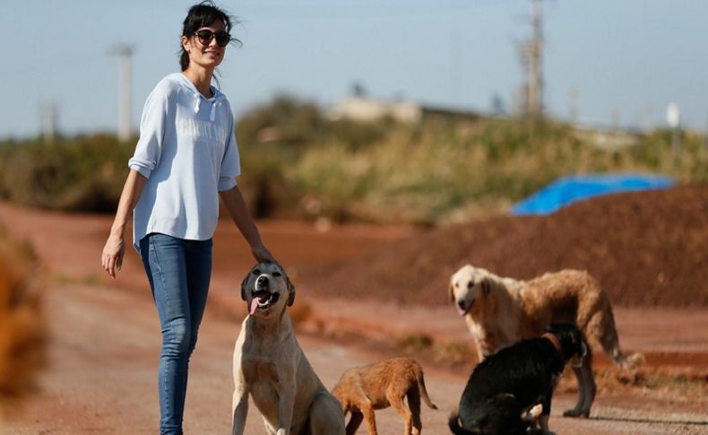 Sahipsiz köpeklerin kurtarıcısı oldu