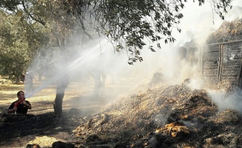 Saman yüklü kamyon alev aldı, 12 dekar alan kül oldu