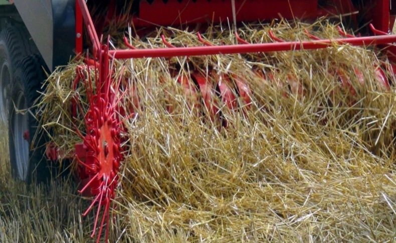 Saman kıymete bindi, çiftçi anız yakmaktan vazgeçti