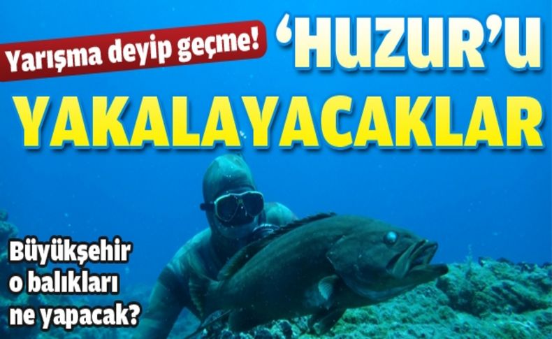 Şampiyona balıkları Huzurevi’ne gidecek