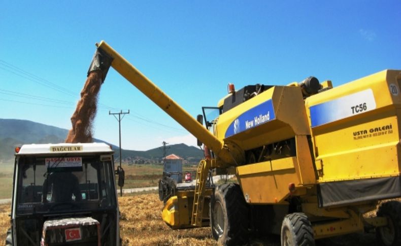 Samsun'da buğday hasadı 372 bin ton olarak gerçekleşti