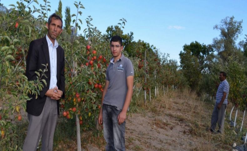 Sarıkayalı çiftçiler alternatif ürün olarak meyveciliğe yöneldi