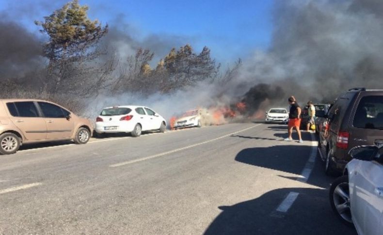 Seferihisar'da korkutan yangın