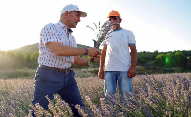 Seferihisar'da mis kokulu şenlik