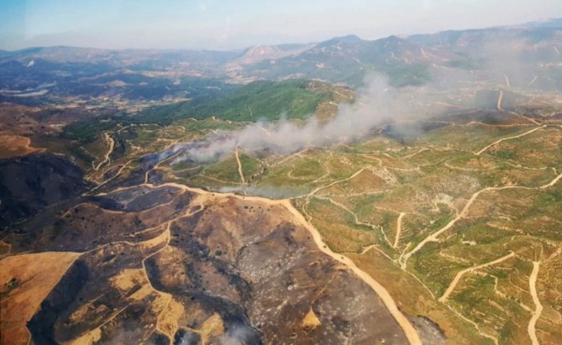 Seferihisar'da otluk alanda yangın