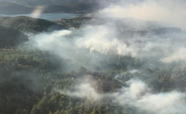 Seferihisar'daki orman yangını mangaldan çıkmış