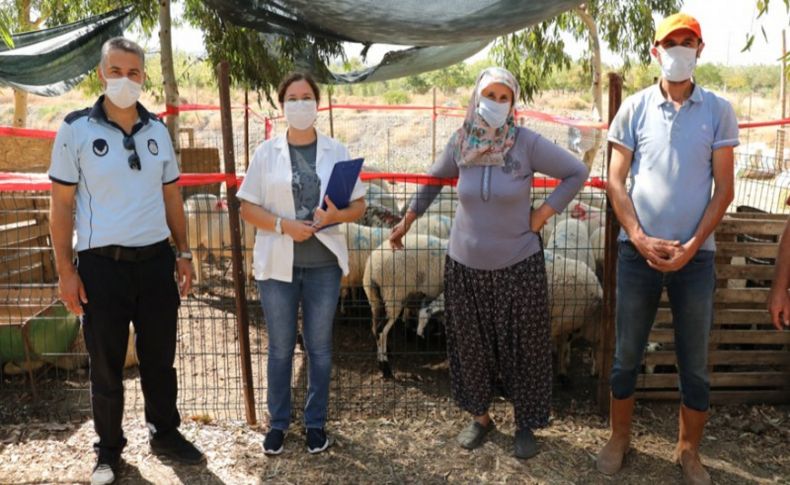 Seferihisar'ın kurban pazarında denetlemeler sürüyor