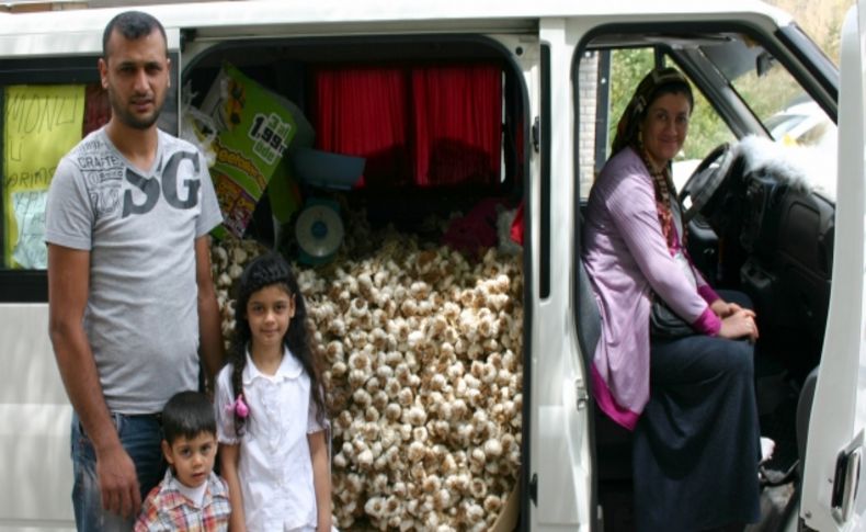 Şehir şehir dolaşıp sarımsak satıyorlar