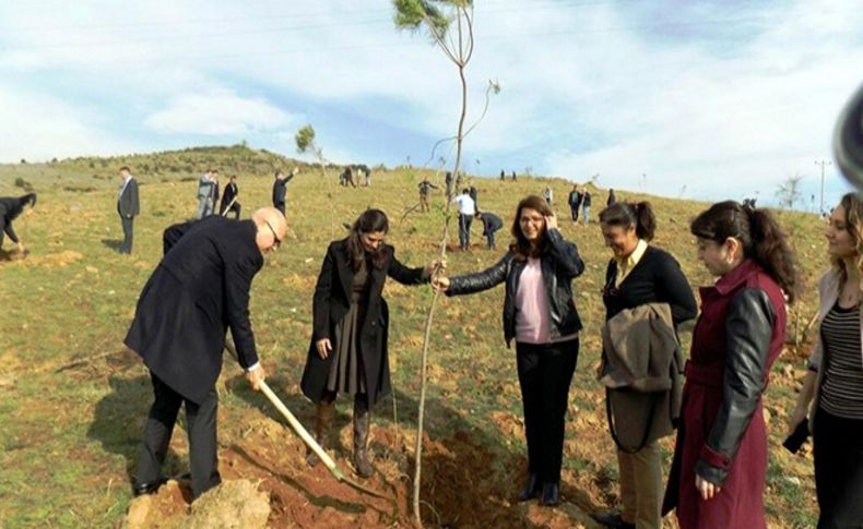 Şehitler Hatıra Ormanı için bin çam fidanı diktiler