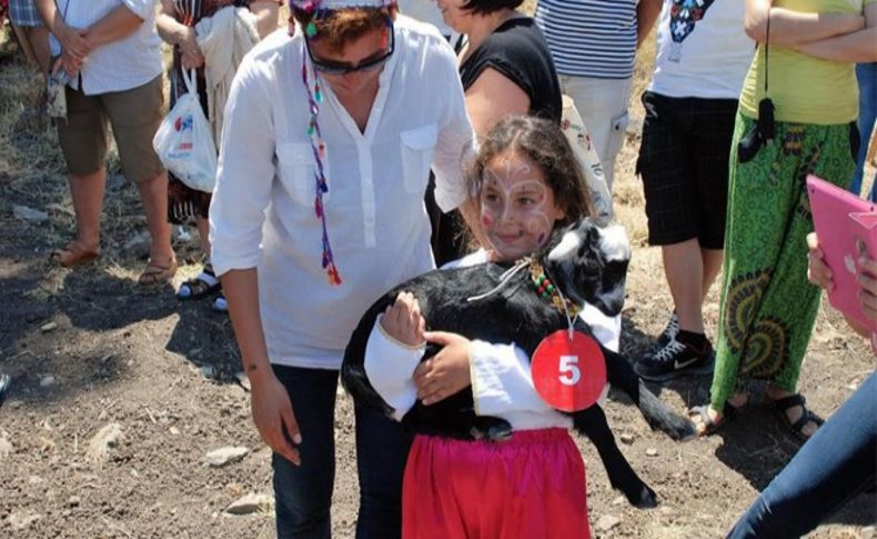 Karaburun kırkım şenliği ile renklenecek