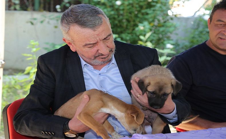 Şenol’dan çağrı: Satın alma, sahiplen!