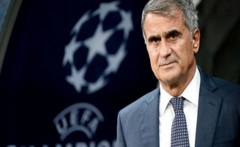 Şenol Güneş, Milli Takım'da