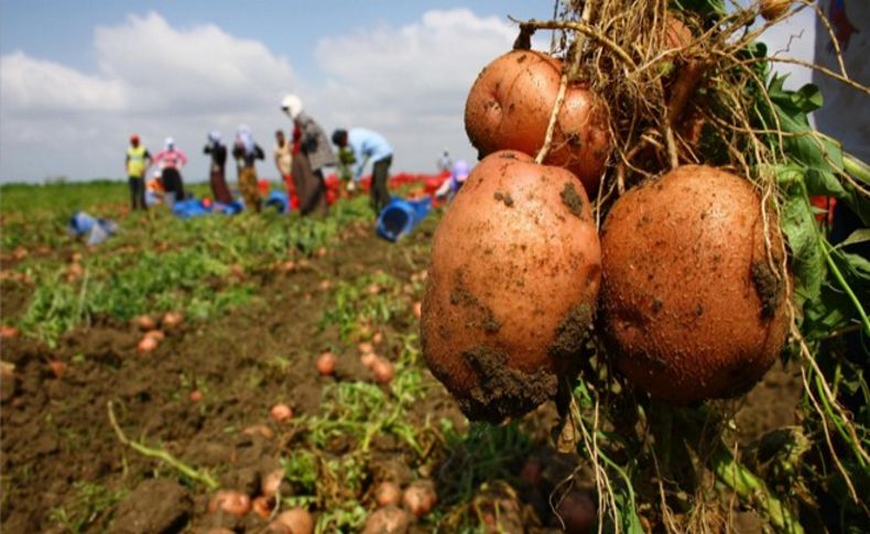 Sertel, patates fiyatlarını Meclis’e taşıdı