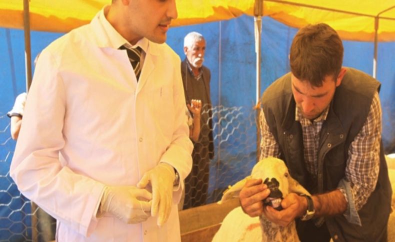 Seyhan Belediyesi’nden ‘sağlıklı kurban seçmenin’ püf noktaları