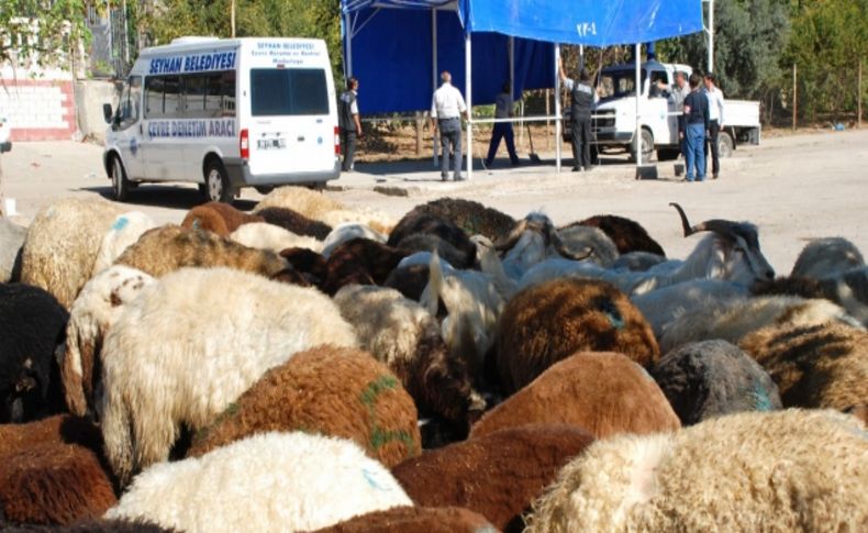 Seyhan'da kurban satış ve kesim yerleri belirlendi