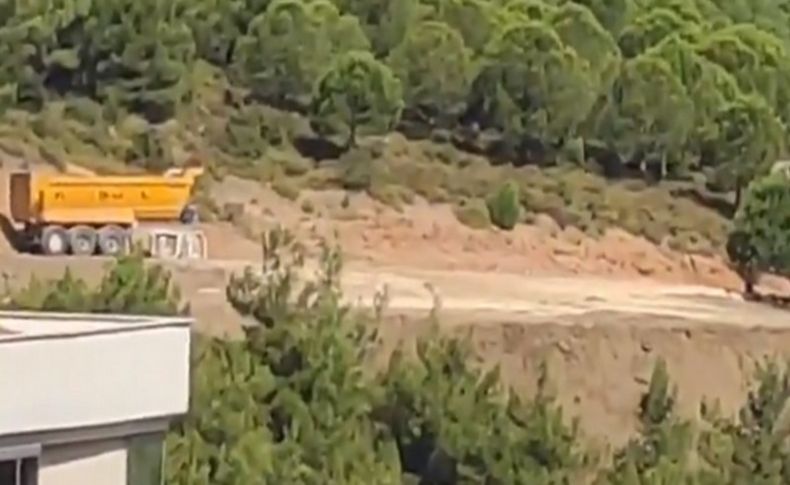 Seyirtepe'de kaçak yapılaşma iddiası: Yeşil kıyım!