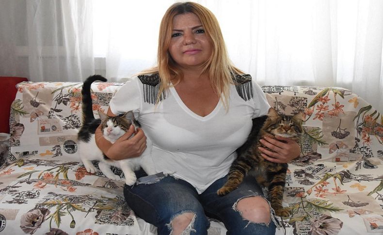 Şikayet ettiği komşusu ile 'kedi maması' karşılığında uzlaştı