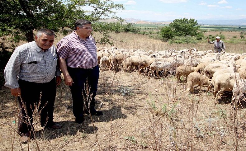 Sındır, veba salgınını Meclis gündemine taşıdı