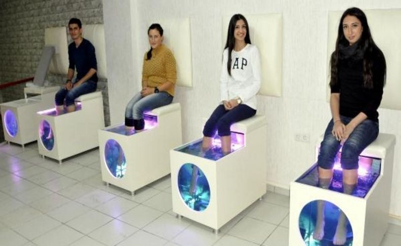 Sivas'in Doktor Baliklari Sağlik Ve Güzelliğin Hizmetinde