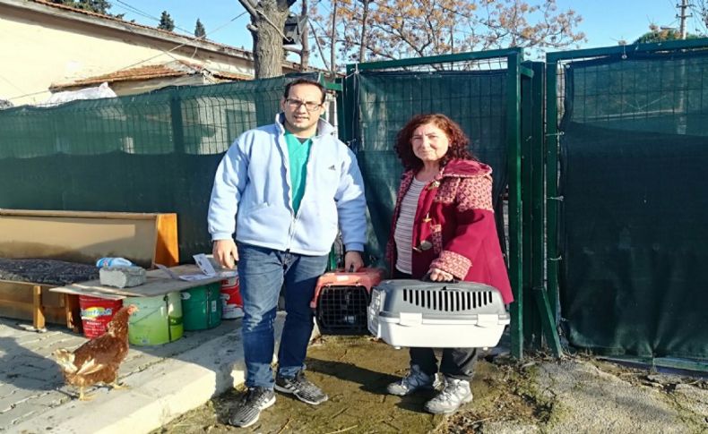 Can dostlar Foça'da emin ellerde
