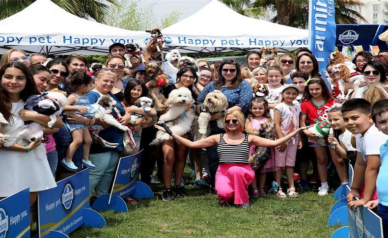 Sokak hayvanları yararına ‘Pati Festivali’