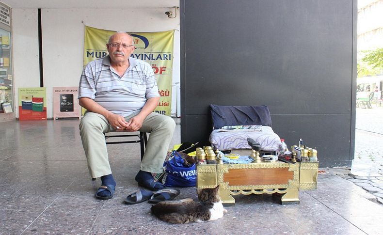 Sokak kedileri her gün onun gelmesini bekliyor