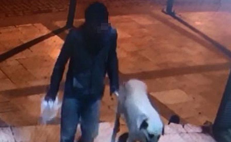 Sokak köpeğini öldürüp tecavüz etti