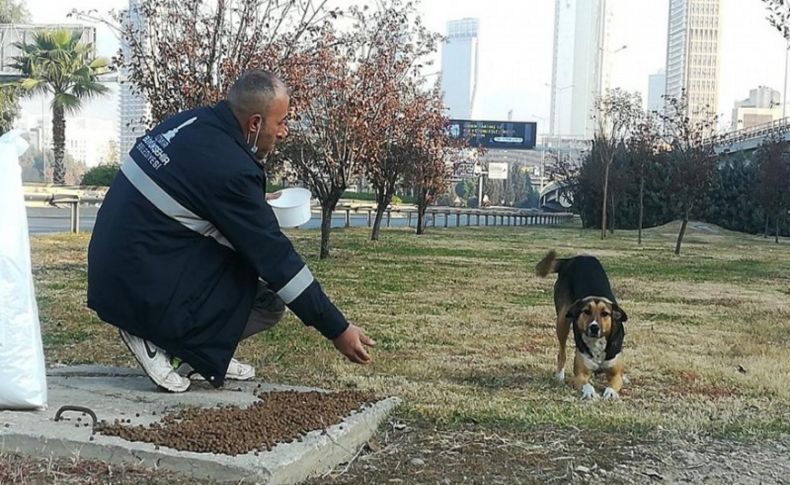 Sokak hayvanları unutulmadı