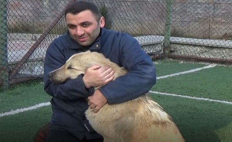 Sopayla kovaladığı köpekten özür diledi