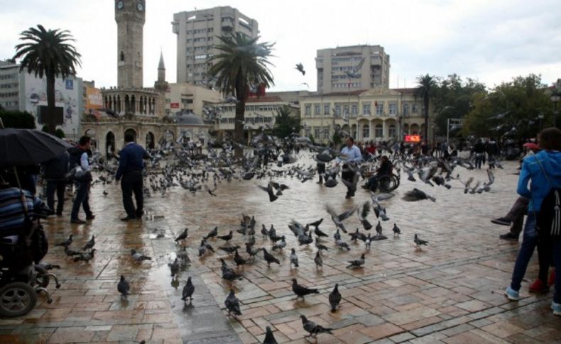 Sürücüye ezidiği güvercin başına 526 lira ceza