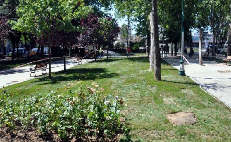 Taksim Gezi Parkı'nda bugün