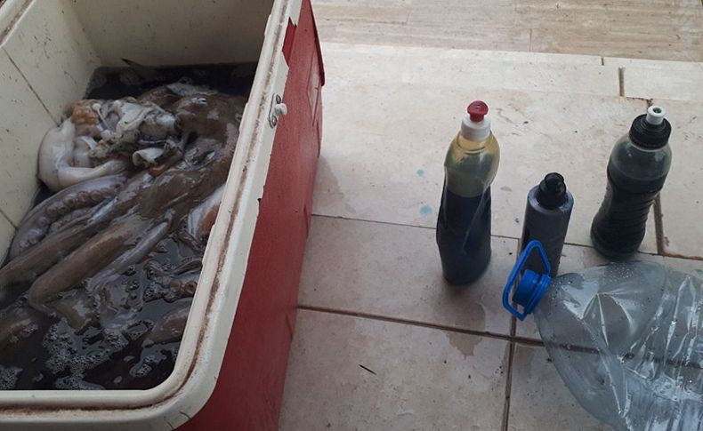Tarım ilacıyla ahtapot avlayanlara baskın