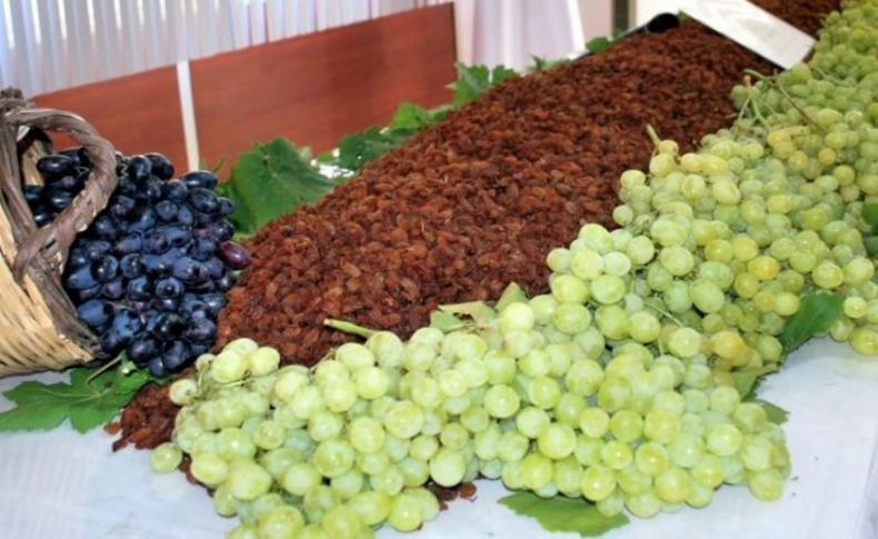 TARİŞ, kuru üzüm fiyatını açıkladı